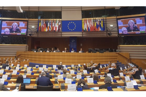 Замјеница предсједавајућег Представничког дома ПСБиХ Борјана Кришто учествује у раду Европске парламентарне седмице 2020